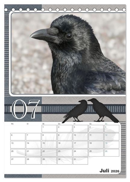 Produktbild: Kr&auml;hen - Clever notiert! Mit K&ouml;pfchen durchs ganze Jahr (Tischkalender 2026 DIN A5 hoch), CALVENDO Monatskalender