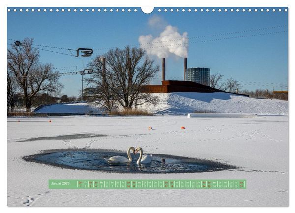 Produktbild: Wolfsburg - einfach tierisch (Wandkalender 2026 DIN A3 quer), CALVENDO Monatskalender