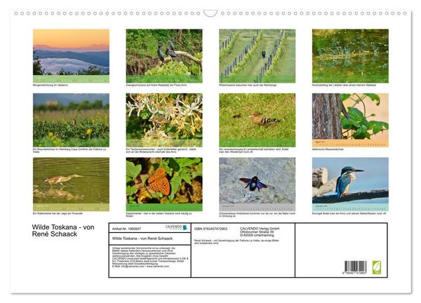 Produktbild: Wilde Toskana - von Ren&eacute; Schaack (Wandkalender 2026 DIN A2 quer), CALVENDO Monatskalender