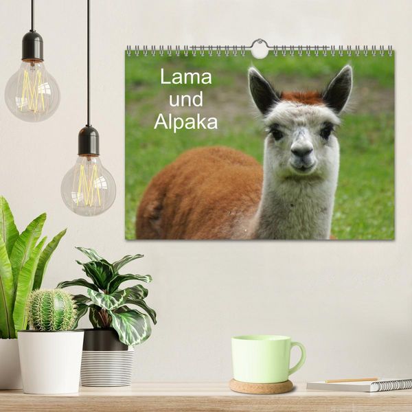 Produktbild: Lama und Alpaka (Wandkalender 2026 DIN A4 quer), CALVENDO Monatskalender