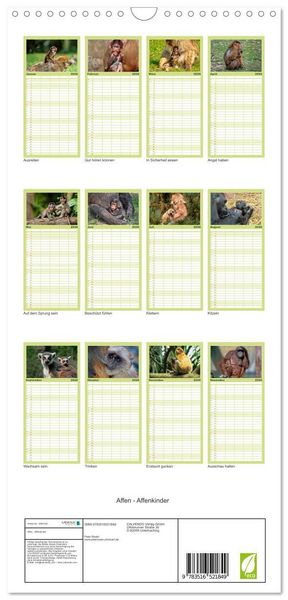 Produktbild: Familienplaner 2026 - Affen - Affenkinder mit 5 Spalten (Wandkalender, 21 x 45 cm) CALVENDO