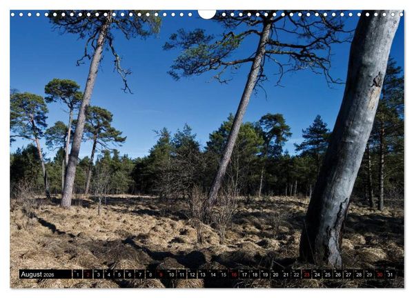 Produktbild: T&ouml;lzer Land und Blaues Land: Seelenlandschaften (Wandkalender 2026 DIN A3 quer), CALVENDO Monatskalender