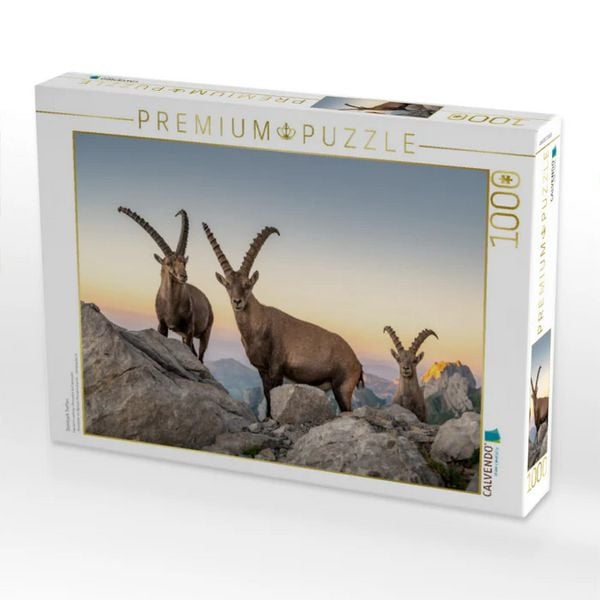 CALVENDO Puzzle Steinbock Treffen | 1000 Teile Lege-Größe 64x48cm Foto-Puzzle für glückliche Stunden