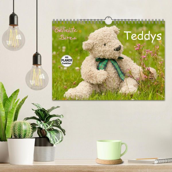 Produktbild: Geliebte B&auml;ren - Teddys (Wandkalender 2026 DIN A4 quer), CALVENDO Monatskalender