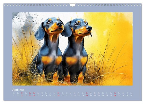 Produktbild: Dackelzauber. Charmante Begleiter im lieblichen Aquarell-Stil (Wandkalender 2026 DIN A3 quer), CALVENDO Monatskalender