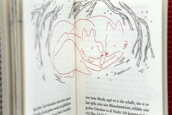 Fuchs 8