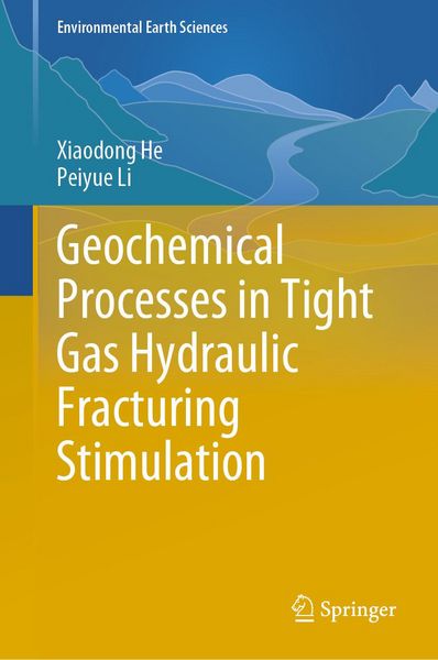 Produktbild: Geochemical Processes in Tight Gas Hydraulic Fracturing Stimulation
