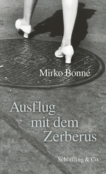 Produktbild: Ausflug mit dem Zerberus