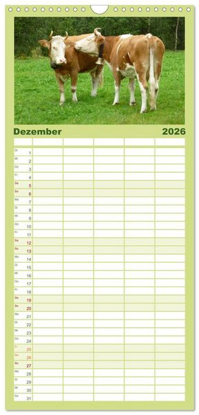 Produktbild: Familienplaner 2026 - Die Welt der K&uuml;he mit 5 Spalten (Wandkalender, 21 x 45 cm) CALVENDO