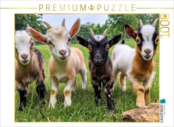 Produktbild: CALVENDO Puzzle Ziegen | 1000 Teile Lege-Gr&ouml;&szlig;e 64x48cm Foto-Puzzle f&uuml;r gl&uuml;ckliche Stunden