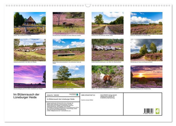 Produktbild: Im Bl&uuml;tenrausch der L&uuml;neburger Heide (Wandkalender 2026 DIN A2 quer), CALVENDO Monatskalender