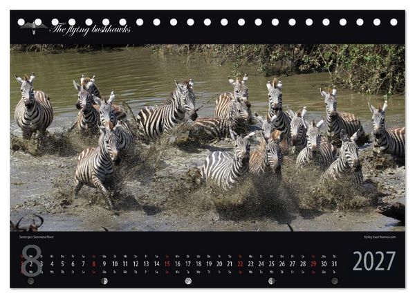 Produktbild: Tansania Blickwinkel 2027 (Tischkalender 2027 DIN A5 quer), CALVENDO Monatskalender