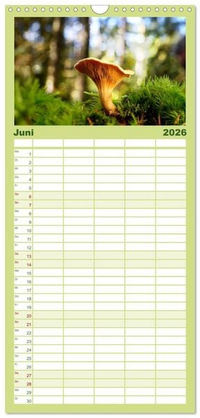 Produktbild: Familienplaner 2026 - Schwammerl Egerlinge Pilze mit 5 Spalten (Wandkalender, 21 x 45 cm) CALVENDO