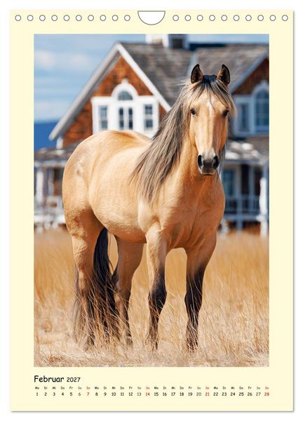 Produktbild: Westernpferde. Quarter Horse und Paint Horse auf dem Farmland (Wandkalender 2027 DIN A4 hoch), CALVENDO Monatskalender