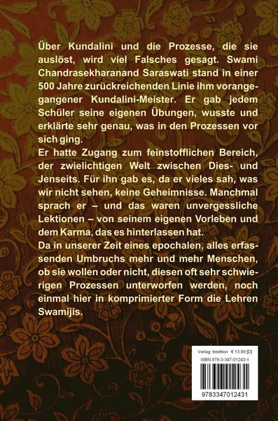 Produktbild: Kundalini und die Lehren eines Meisters