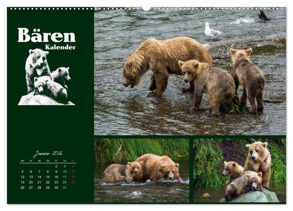 Produktbild: B&auml;renkalender (Wandkalender 2026 DIN A2 quer), CALVENDO Monatskalender