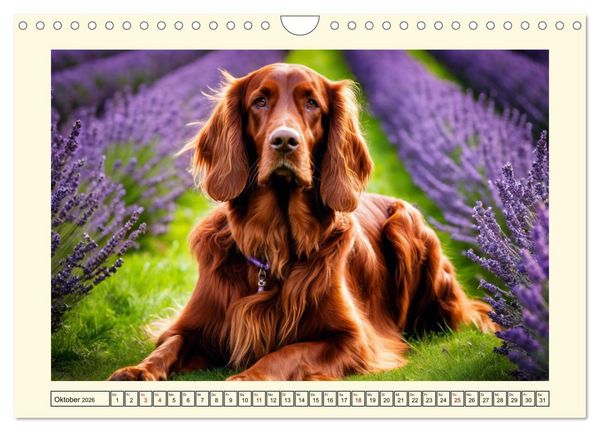 Produktbild: Treue Jagdbegleiter (Wandkalender 2026 DIN A4 quer), CALVENDO Monatskalender