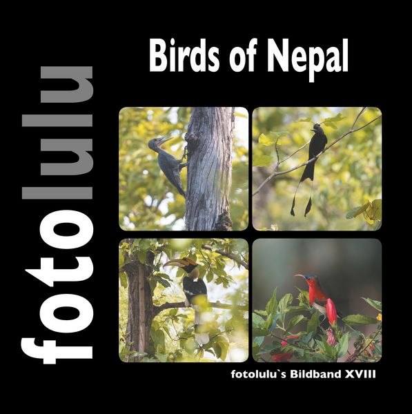 Produktbild: Birds of Nepal