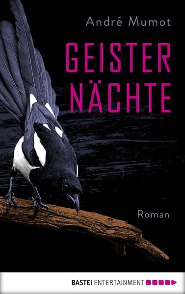 Produktbild: Geistern&auml;chte