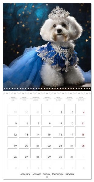 Produktbild: Grand Divas of the Dog World (Wall Calendar 2026 12 &times; 12 Inch) CALVENDO 12 Month Wall Calendar