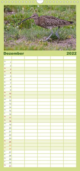 Produktbild: Familienplaner Die Orkneys - Schottlands n&ouml;rdliche Inseln (Wandkalender 2022 , 21 cm x 45 cm, hoch)