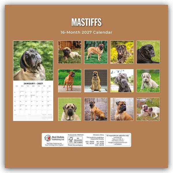 Produktbild: Mastiffs &ndash; Mastiff 2027 &ndash; 16-Monatskalender