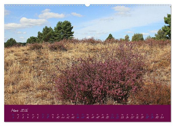 Produktbild: Die Nemitzer Heide - Im Wendland unterwegs (Wandkalender 2026 DIN A2 quer), CALVENDO Monatskalender