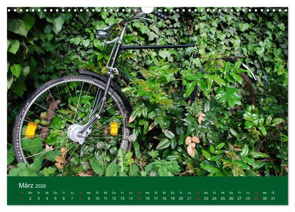 Produktbild: Das Fahrrad 2026 (Wandkalender 2026 DIN A3 quer), CALVENDO Monatskalender