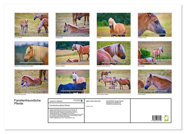 Produktbild: Familienfreundliche Pferde (Wandkalender 2026 DIN A2 quer), CALVENDO Monatskalender