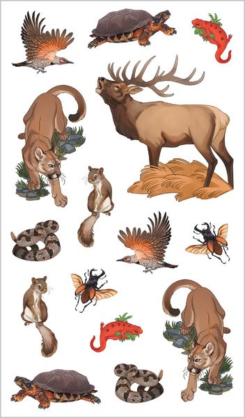 Produktbild: Wild, Wonderful Tattoo Woodland Animals