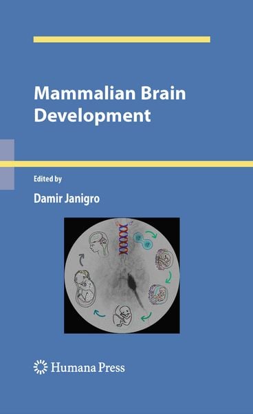 Produktbild: Mammalian Brain Development