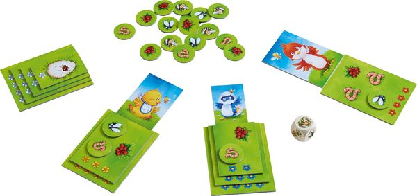 Produktbild: Rogasch, T: Kleiner Vogel, gro&szlig;er Hunger