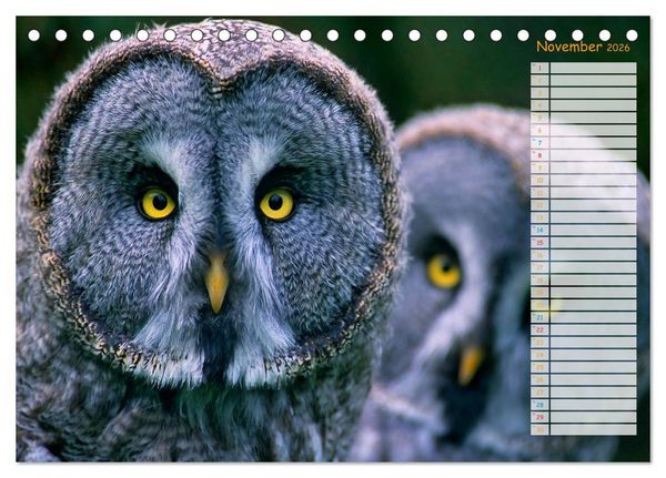 Produktbild: Tiere des Waldes (Tischkalender 2026 DIN A5 quer), CALVENDO Monatskalender