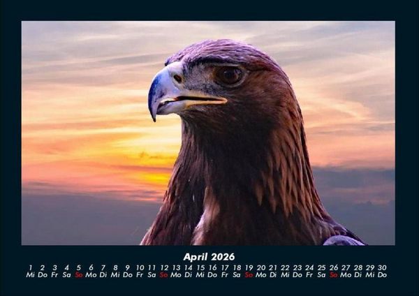 Produktbild: Adler 2026 Fotokalender DIN A4
