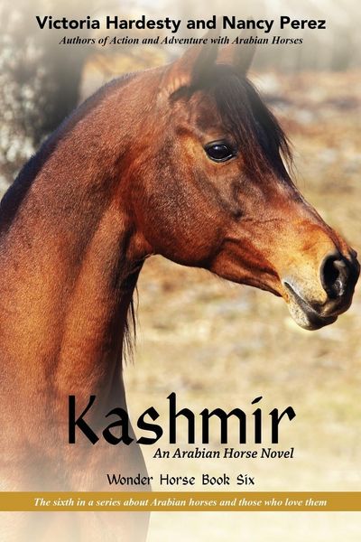 Produktbild: Kashmir