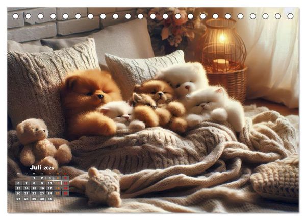 Produktbild: Kuscheliges & Knuddeliges (Tischkalender 2026 DIN A5 quer), CALVENDO Monatskalender