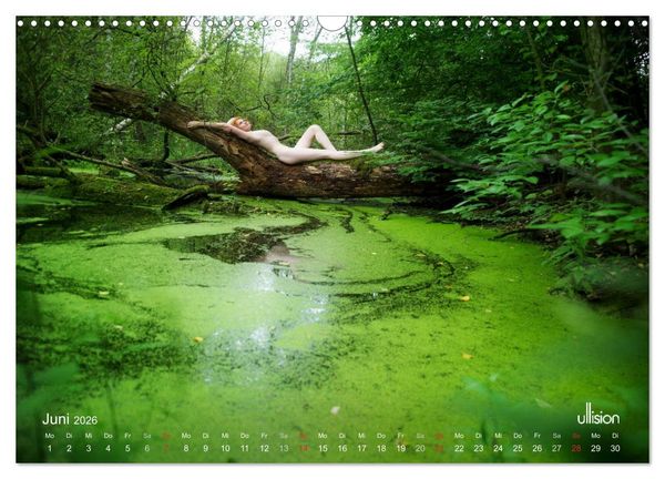 Produktbild: ZAUBERWALD Mystik der Natur (Wandkalender 2026 DIN A3 quer), CALVENDO Monatskalender