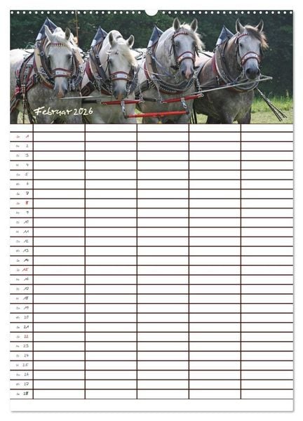 Produktbild: Der Kaltblut-Familienplaner (hochwertiger Premium Wandkalender 2026 DIN A2 hoch), Kunstdruck in Hochglanz