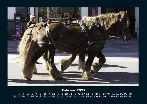 Produktbild: Pferdegefl&uuml;ster 2025 Fotokalender DIN A4
