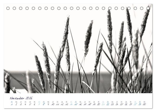 Produktbild: Meeresbilder - Nordsee-Impressionen (Tischkalender 2026 DIN A5 quer), CALVENDO Monatskalender