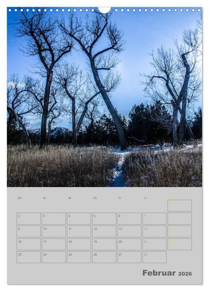 Produktbild: Wald- und Wiesenkalender 2026 Planer (Wandkalender 2026 DIN A3 hoch), CALVENDO Monatskalender