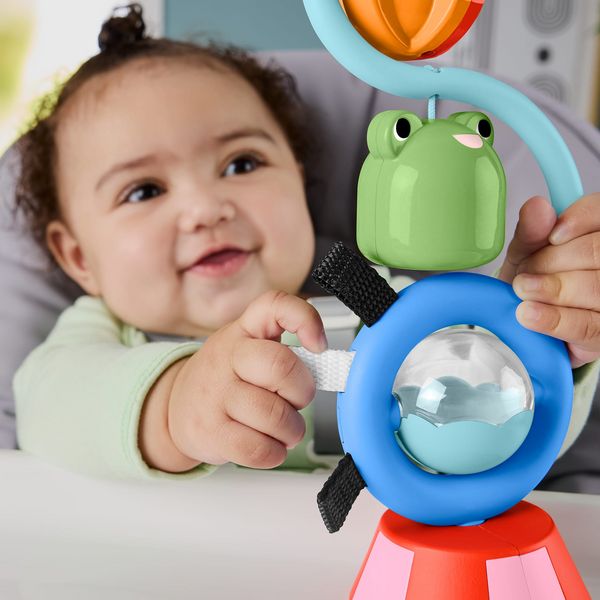 Produktbild: Fisher-Price Balanced Beginnings Suction Cup Toy