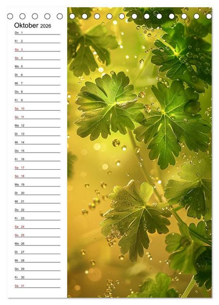 Produktbild: Kr&auml;uterfrische (Tischkalender 2026 DIN A5 hoch), CALVENDO Monatskalender