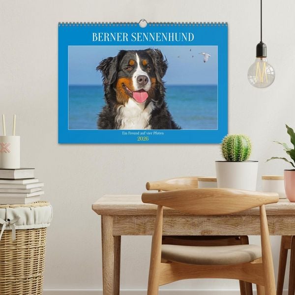 Produktbild: Berner Sennenhund - Ein Freund auf vier Pfoten (Wandkalender 2026 DIN A3 quer), CALVENDO Monatskalender
