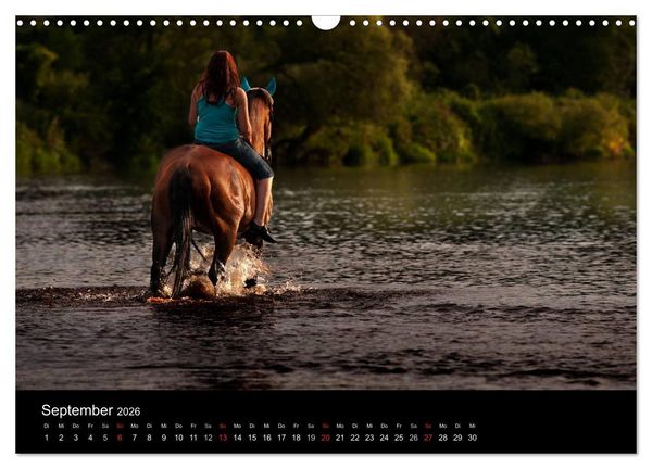 Produktbild: Pferdekalender (Wandkalender 2026 DIN A3 quer), CALVENDO Monatskalender