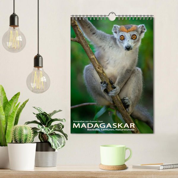 Produktbild: MADAGASKAR: Baobabs, Lemuren, Naturwunder (Wandkalender 2026 DIN A4 hoch), CALVENDO Monatskalender