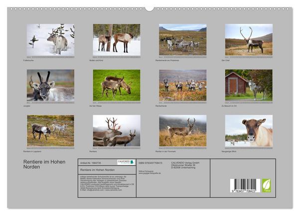 Produktbild: Rentiere im Hohen Norden (hochwertiger Premium Wandkalender 2026 DIN A2 quer), Kunstdruck in Hochglanz