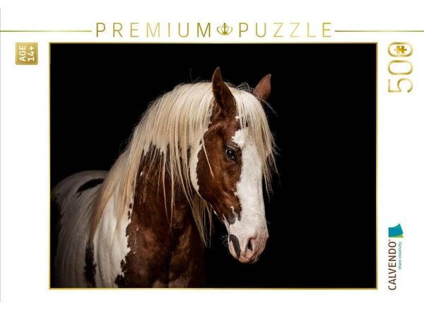 CALVENDO Puzzle Paint Horse Hengst | 500 Teile Lege-Größe 48 × 36 cm Foto-Puzzle für Erwachsene
