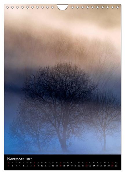 Produktbild: Visuelle Meditation - Gl&uuml;hende Wipfel (Wandkalender 2026 DIN A4 hoch), CALVENDO Monatskalender