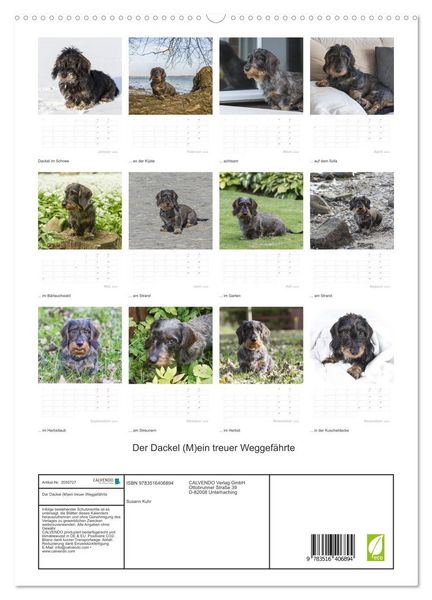 Produktbild: Der Dackel (M)ein treuer Weggef&auml;hrte (hochwertiger Premium Wandkalender 2026 DIN A2 hoch), Kunstdruck in Hochglanz